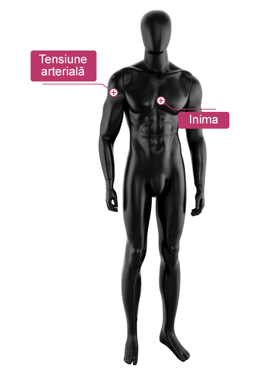 O figură 3D abstractă masculină în picioare este marcată cu etichete roșii care conțin cuvintele tensiune arterială și inimă.