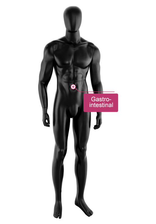 O figură 3D abstractă masculină în picioare este marcată cu o etichetă roșie care conține cuvântul Gastro-intestinal